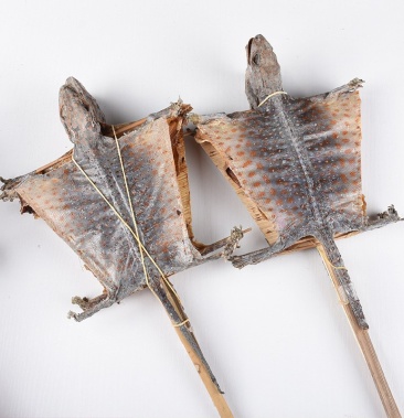 [蛤蚧批发]蛤蚧 包邮中号9公分 一扎两个中药材批发零售价格65.