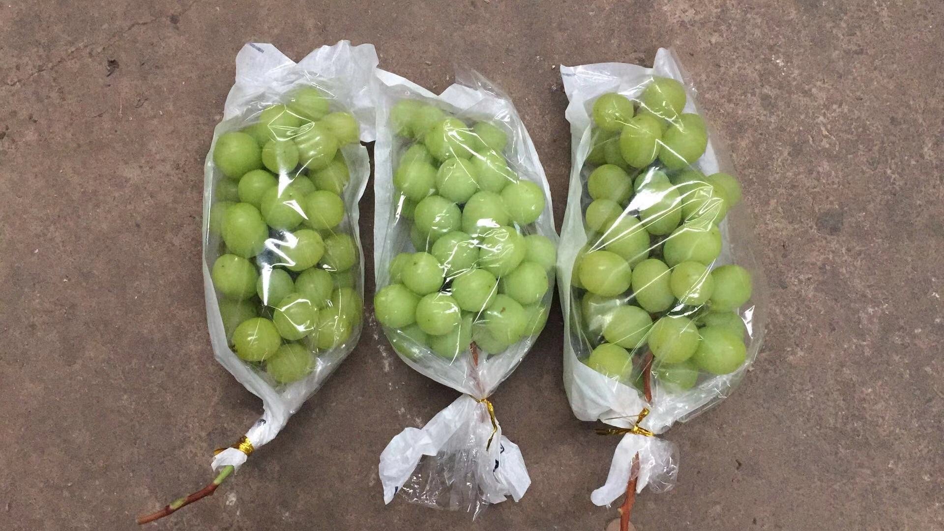 超市货架上的青提包装盒