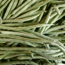 小金豆
