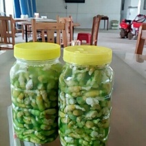 豆丹