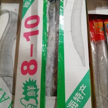 刀鱼