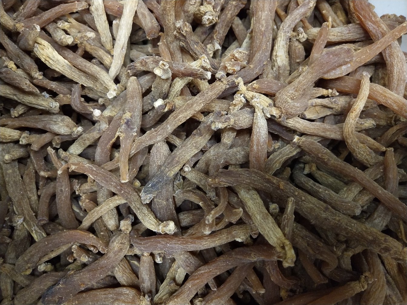 一张对比图展示不同体质人群对面部特征和身体状态的示意:左侧为阳虚体质(面色苍白、畏寒肢冷),右侧为阴虚体质(面颊潮红、舌红少苔),中间标注‘红参适用 vs 禁忌’ 图片描述