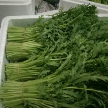 茼蒿