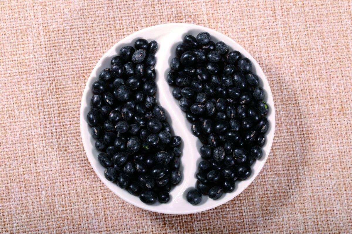 现代食品中的大豆制品展示