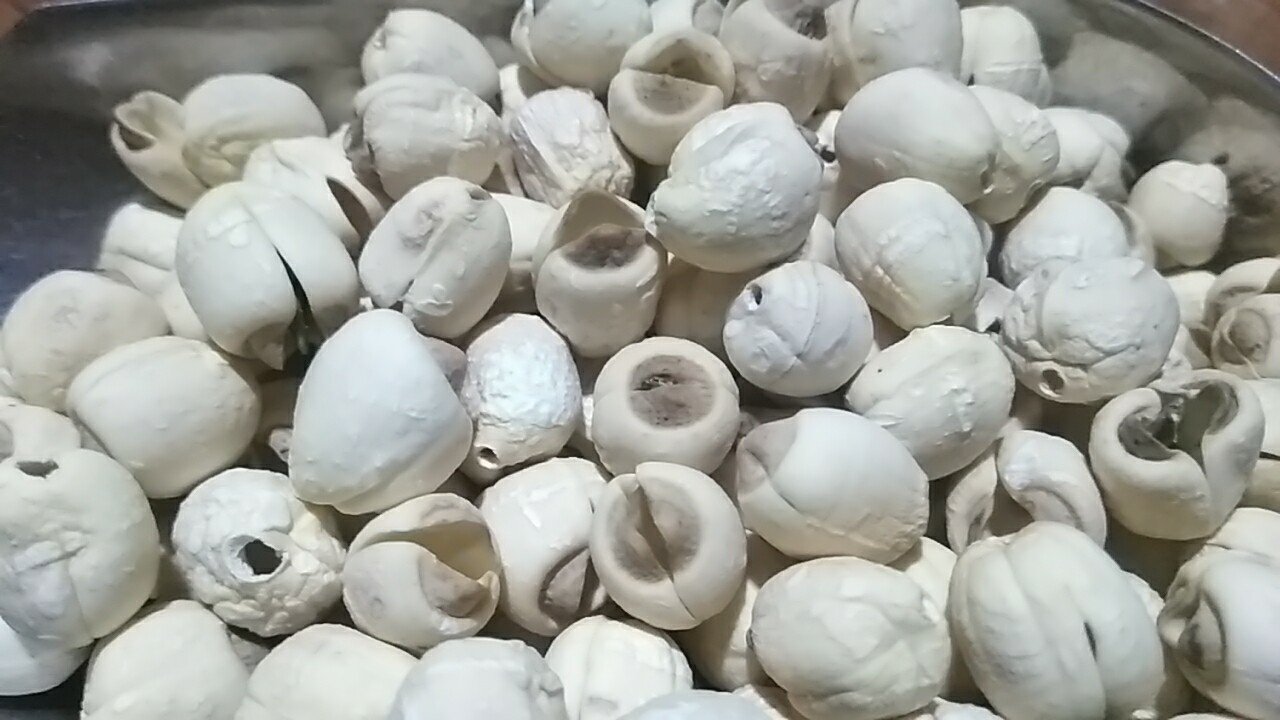 莲子煲老鸭食材展示