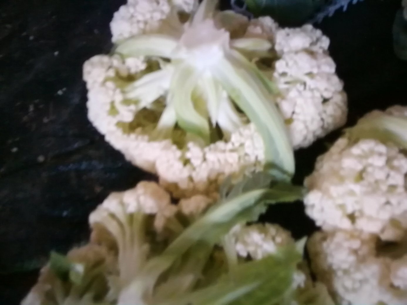 薯藤梗和白面青梗松花菜的处理过程
