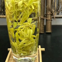 安吉白茶