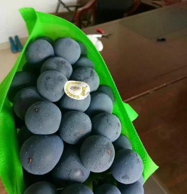 [葡萄批发]南太湖特早葡萄价格12000.00元/件 - 一亩田