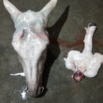 驴肉