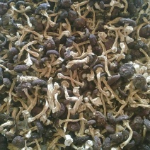 蘑菇干，干蘑菇，野生蘑菇，大球盖菇干品，优质，一件代发，