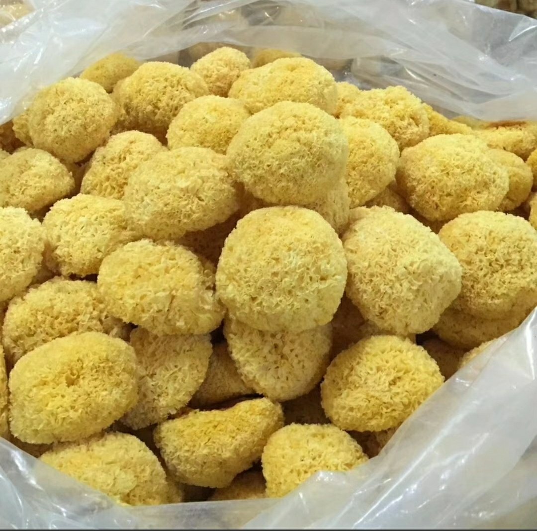 左侧为盒马门店货架陈列:古田丑耳独立小包装置于丝绸礼盒中,配有二维码溯源标签和有机认证标识;右侧为手机屏幕截图,显示天猫旗舰店页面,标题突出‘正宗古田椴木丑耳’‘45天慢养’‘非硫熏’等卖点,用户评价区多条提及‘出胶多’‘味道香’ 古田丑耳在精品商超与电商平台销售场景图