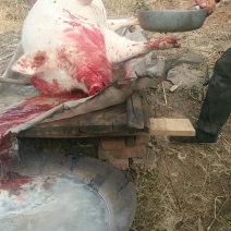 自家杀的猪，腊肉香肠