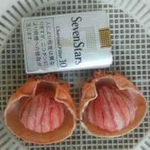 蟹宝