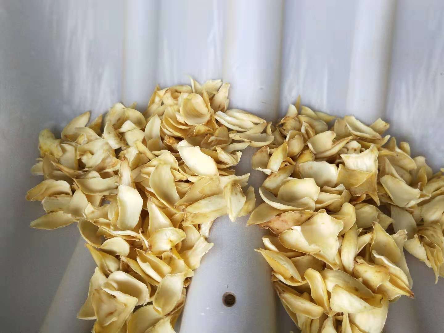 百合地黄汤药材图