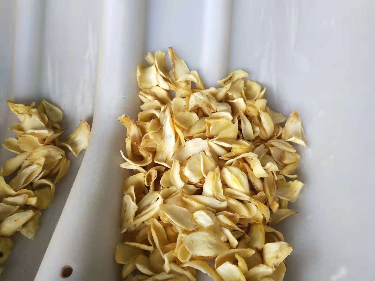 左侧为刚切开的洁白百合瓣,右侧为暴露空气中2小时后表面泛黄至浅褐色的百合瓣,两者并列摆放于白色瓷盘中,背景为厨房操作台环境 新鲜切开的百合与氧化变黑的百合对比图