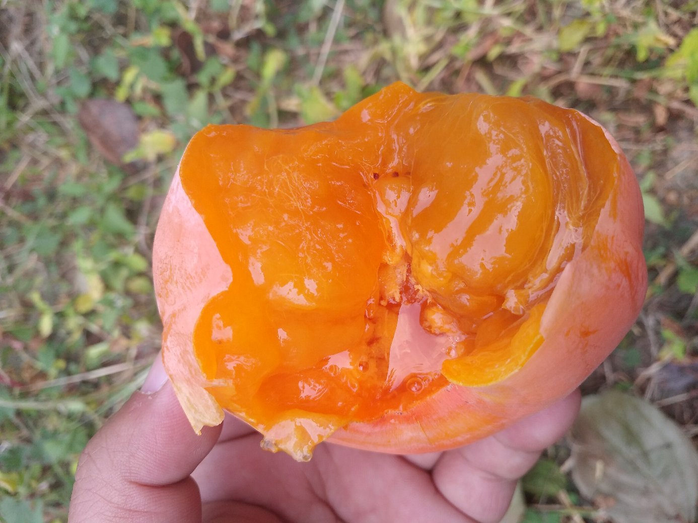 一个成熟的软磨盘柿子置于木质砧板上,果皮呈深橙红色,表面带有自然白霜,果实中部有明显的环状缢痕,果肉透出柔和光泽,旁边配有小勺,展示可挖食的食用方式 软磨盘柿子特写