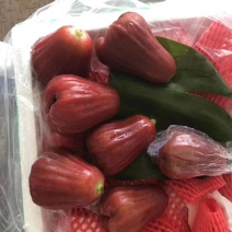 莲雾