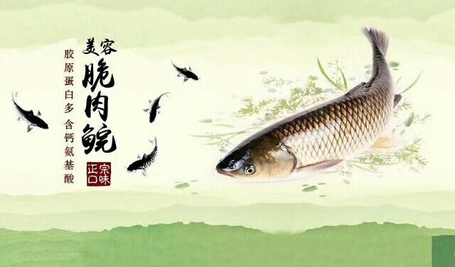 [脆肉鲩批发]安徽阜阳颍州区草鱼 12.00元/斤脆肉鲩 脆皖鱼 _ 一亩田