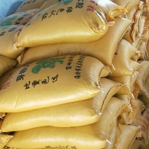 豆油皮批发
