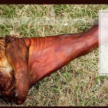 重庆市奉节县柏树叶烟熏腊肉