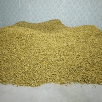 陕西渭南杭白菊
