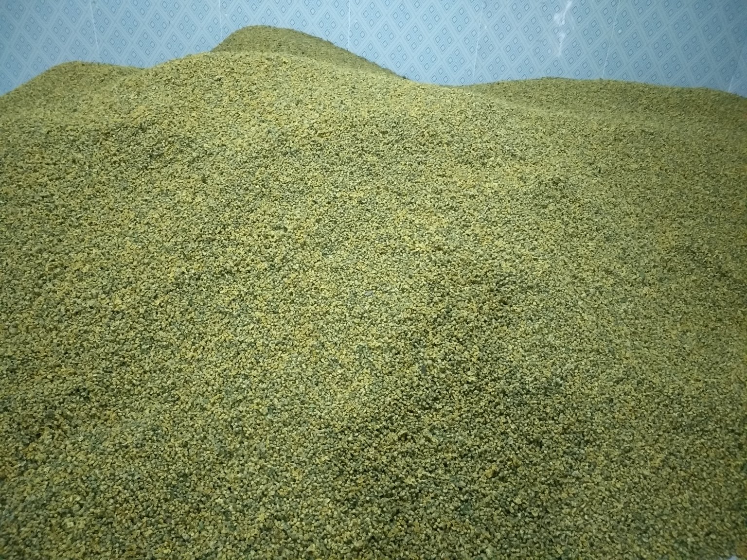 展示杭白菊与贡菊在冲泡后的形态与茶汤颜色对比 菊花冲泡效果对比图