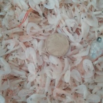 虾皮