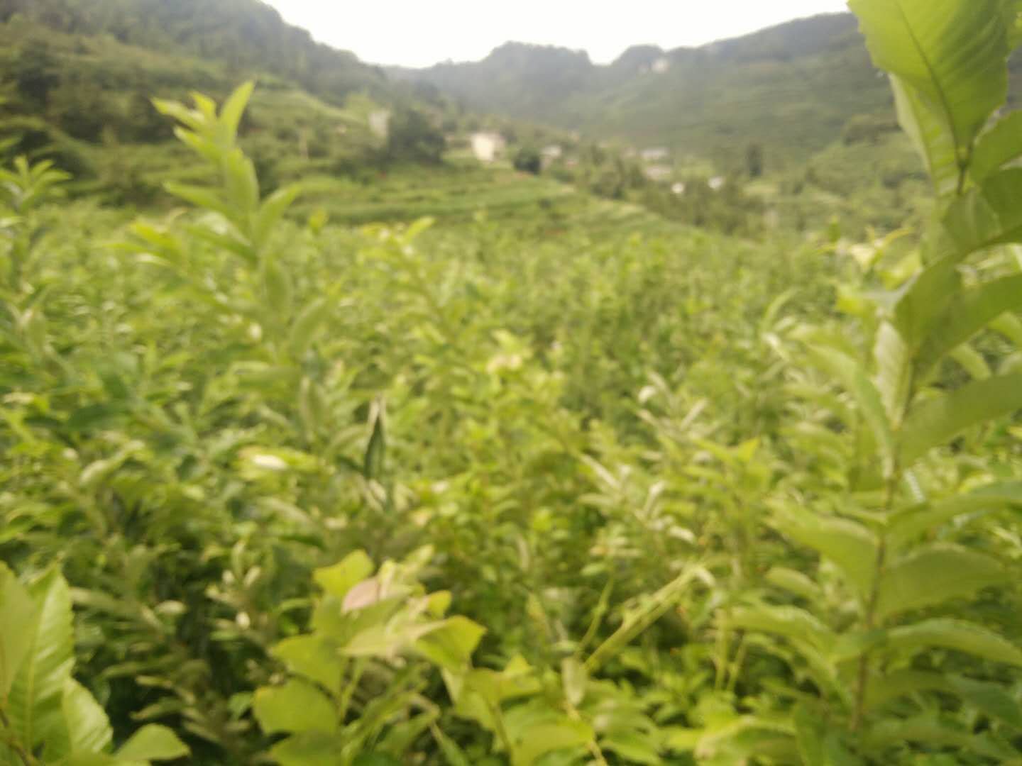 遵化市燕山丘陵地貌