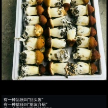 大球盖红皮萝卜小儿菜