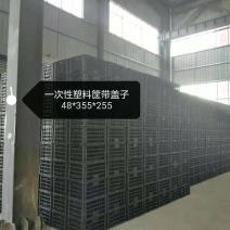 泡沫箱生产车间，厂家直销可定制产品的