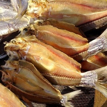 野生翘嘴鱼🐟，自家腌制