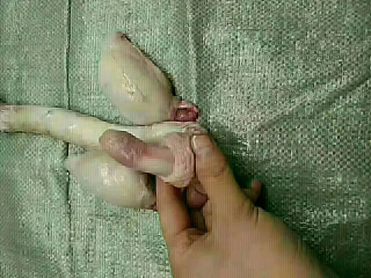 鹿鞭粉与鹿鞭肽营养成分对比柱状图