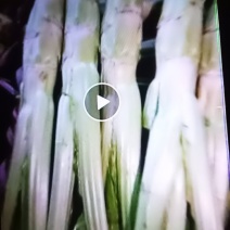 四川广汉棒菜
