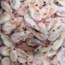 北极虾