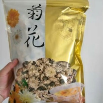 优质黄山贡菊
