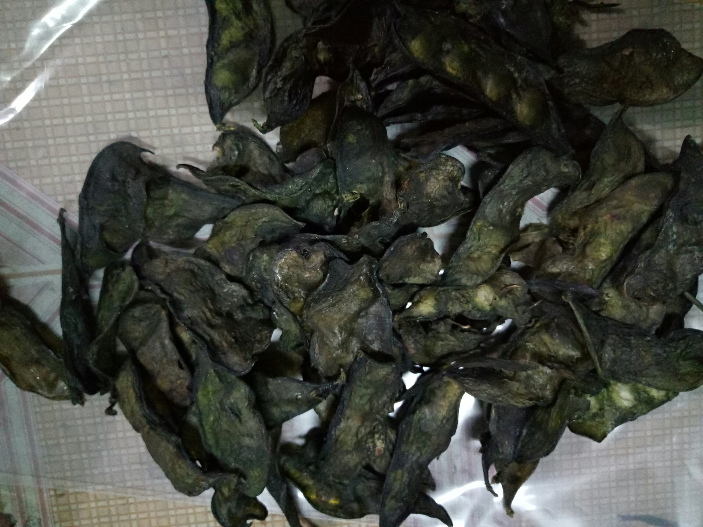 红扁豆特写：饱满椭圆形干豆，深红褐色带浅褐斑纹，表面微皱有光泽，散落于木质砧板上，旁置不锈钢量勺盛满约30g豆粒