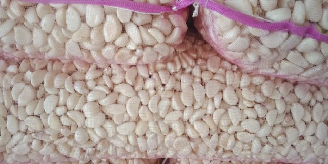 蒜米产品展示