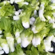 儿菜