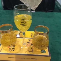 金丝黄菊