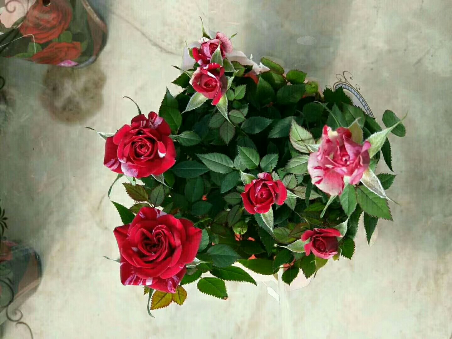 雏菊花环被用于婚礼装饰,呈现出浪漫而自然的风格,花瓣洁白,点缀着绿色枝叶 雏菊花环与婚礼装饰