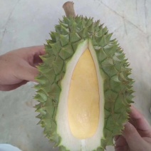 干荛榴莲