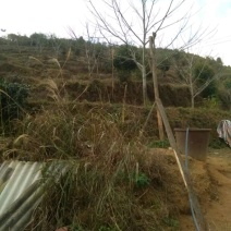 场地出租