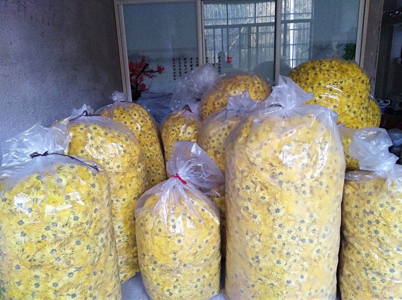 金丝皇菊与陈皮的食材展示