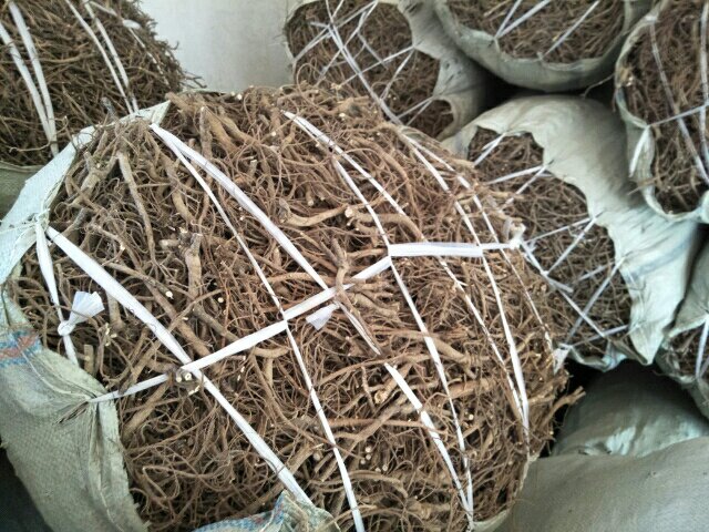 北柴胡成品药材与包装展示,展示其外观特征与市场流通形态 北柴胡成品药材与包装展示