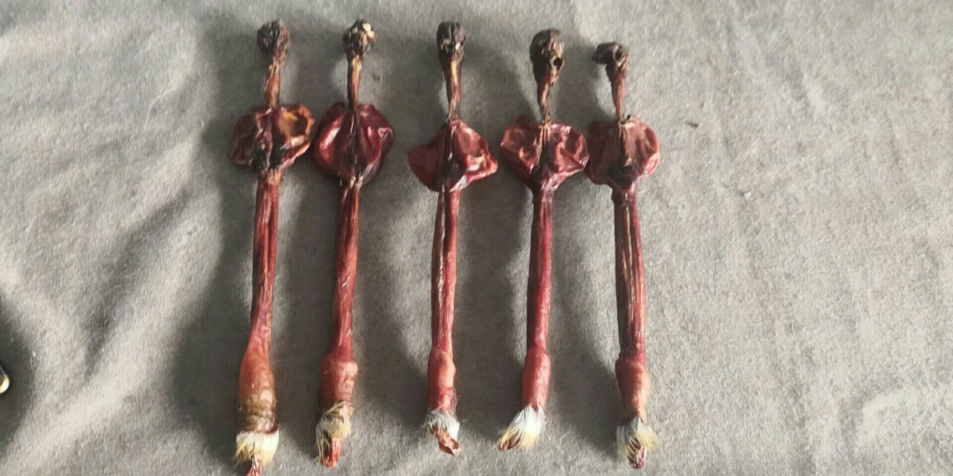 干鹿鞭泡发过程