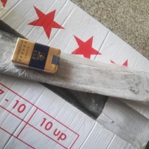 刀鱼