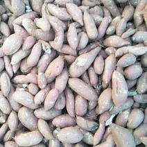 商薯19，三两以上，