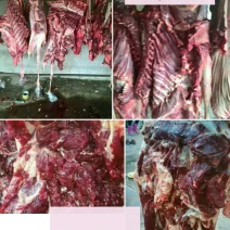 驴肉