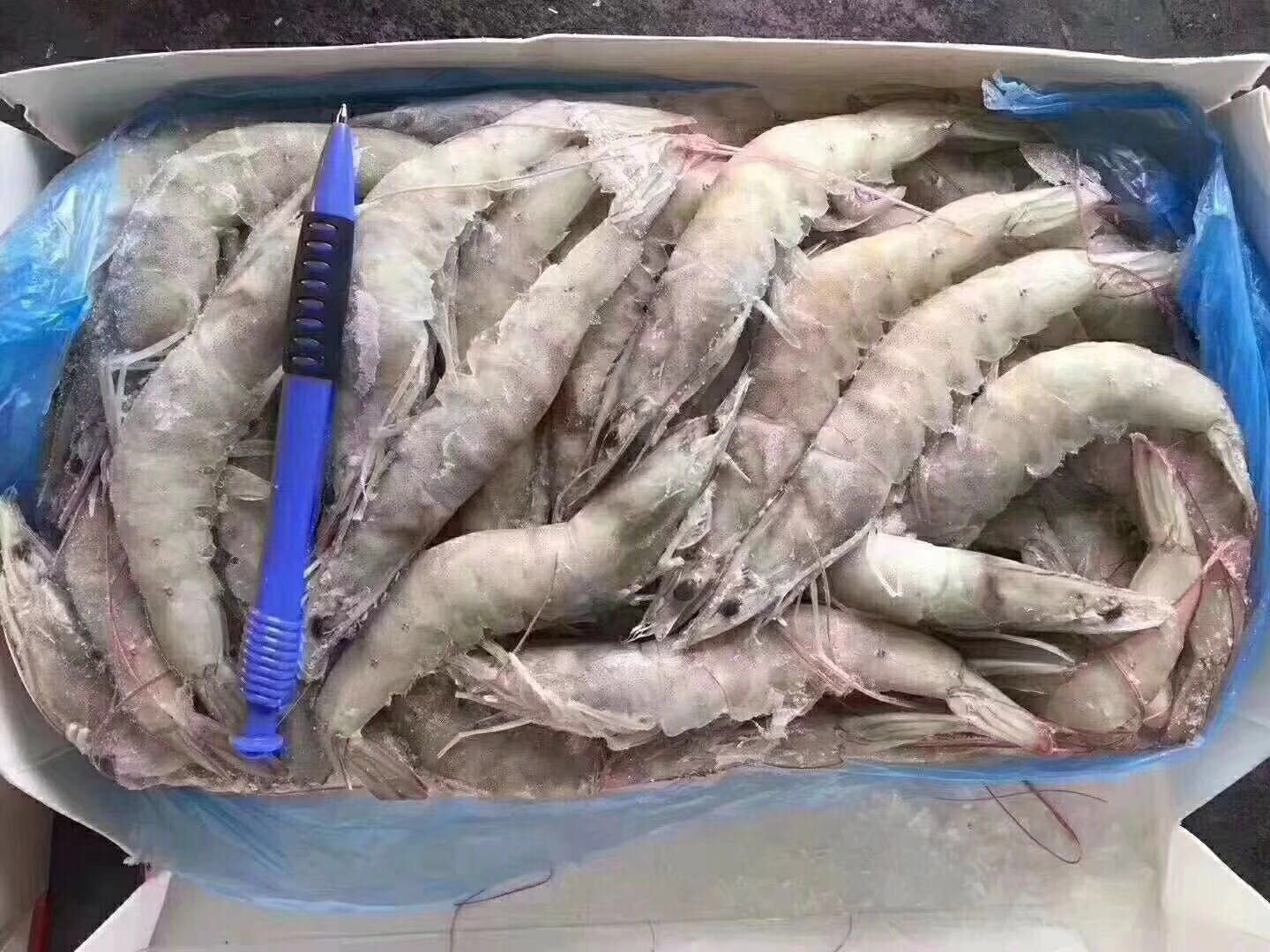 共泰对虾商品虾分级包装与溯源标签特写
