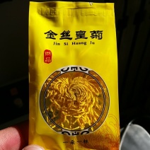 泡袋装金丝黄菊
